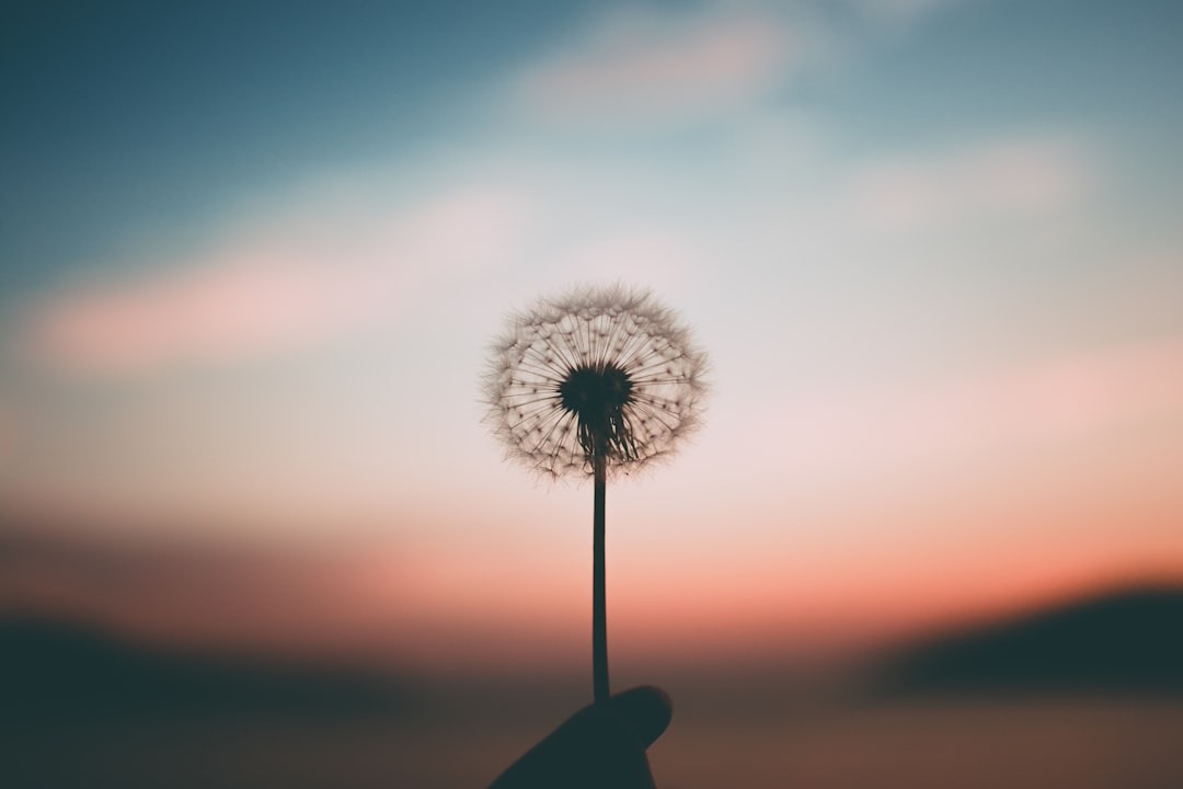 Bienvenido/a a Tu Confidente Virtual: un espacio para reconectar contigo